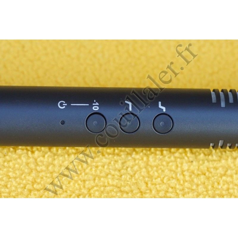 Microphone Rode NTG4+ - Røde Directional Mic - USB Battery Lithium - Rode NTG4+