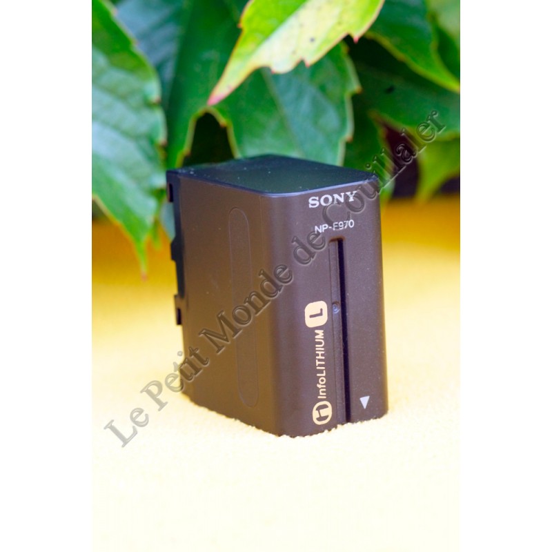 Batterie InfoLithium Série L Sony NP-F970 - Rechargeable - 7,2 V - 47,5Wh - 6600mAh - Sony NP-F970